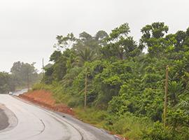 Les acteurs de la filière bois s'organisent pour Kribi