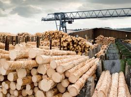 La filière bois à bon port sur les quais