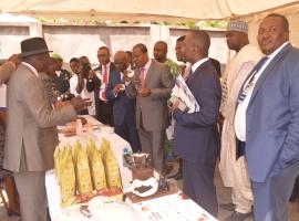 Cacao et café à la relance sur les quais