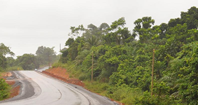 Les acteurs de la filière bois s'organisent pour Kribi